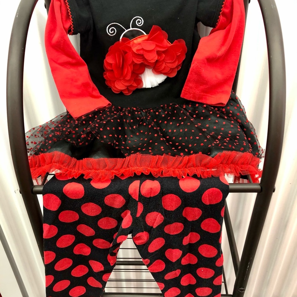 Rare,Too 2T ladybug 2 piece Shirt Pants Set